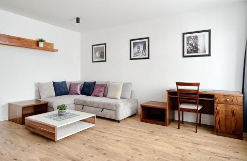 Chelmno Apartment | APARTAMENT PRZY RYNKU II