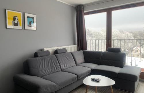 Zielona Gora Apartment | Apartament Ptasia