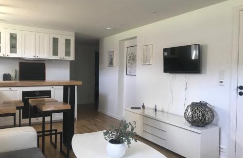 Alesund Apartment | Apartament Ratvika