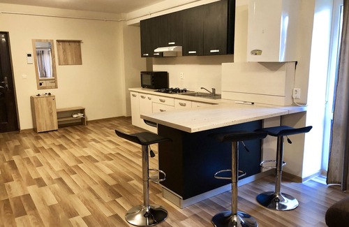 Satu Mare Apartment | Apartament regim hotelier
