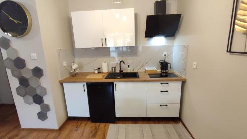 Wloclawek Apartment | Apartament Reja