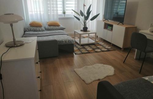 Wloclawek Apartment | Apartament Rodzinny - Classic Olszowa
