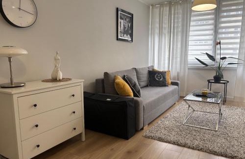 Wloclawek Apartment | Apartament Rodzinny - Classic Olszowa
