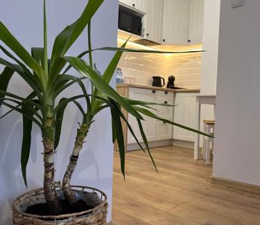 Torun Apartment | Apartament Rubinowy