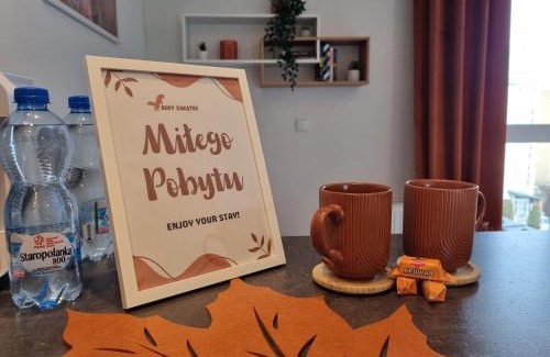 Bydgoszcz Apartment | Apartament Rudy Zakątek w Centrum Bydgoszczy