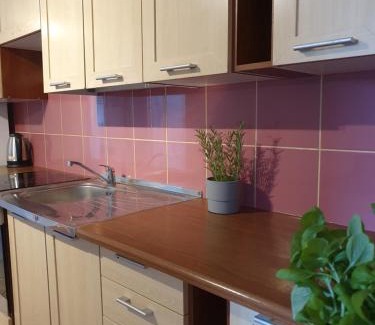 Wrzeszcz Apartment | Apartament Słowacjusza 69