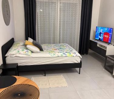 Zabrze Apartment | Apartament Słowackiego Park