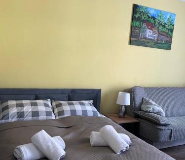 Stronie Slaskie Apartment | Apartament Salamandra Uno