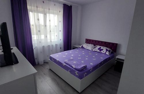 Barlad Apartment | Apartament Sara