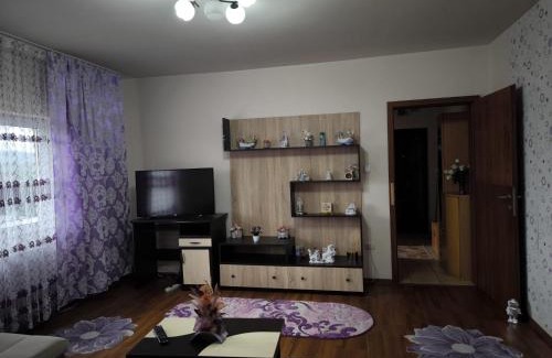 Otelu Rosu Apartment | Apartament Sarah