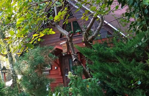 Przygodzice House | Apartament SECESJA