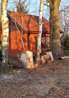 Przygodzice House | Apartament SECESJA
