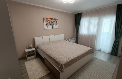 Baile Herculane Apartment | Apartament Serenity