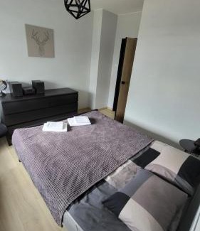 Pruszcz Gdanski Apartment | Apartament SOLO