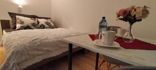Sosnowiec Apartment | Apartament Sosnowiec - Kazimierz Górniczy