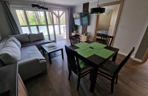 Skarszewy Apartment | Apartament Sosny 2,2 nad jeziorem OTW Borówno Wielkie