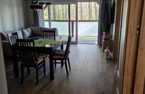 Skarszewy Apartment | Apartament Sosny 2,2 nad jeziorem OTW Borówno Wielkie