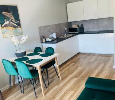 Gorzow Wielkopolski Apartment | Apartament Stemar z dyżym baloknem