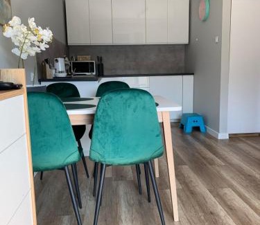 Gorzow Wielkopolski Apartment | Apartament Stemar z dyżym baloknem