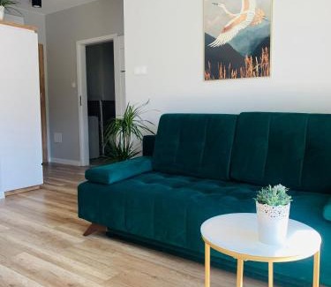 Gorzow Wielkopolski Apartment | Apartament Stemar z dyżym baloknem