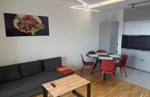 Lodz Apartment | Apartament Sweet Harmony- kulturalne centrum Łodzi- Free parking&Atlas&Zoo&Fala
