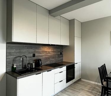 West Pomeranian Voivodeship Apartment | Apartament Szczecin
