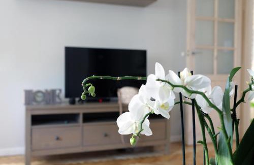 West Pomeranian Voivodeship Apartment | Apartament Turkus