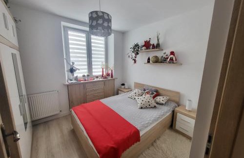Stronie Slaskie Apartment | Apartament Twoja Chwila