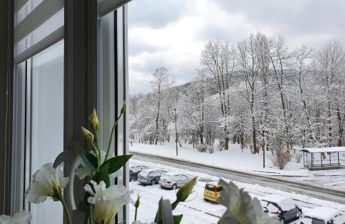 Stronie Slaskie Apartment | Apartament Twoja Chwila