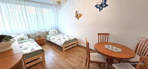 Zloty Stok Apartment | Apartament u Agusi