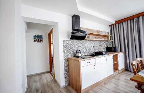 Bialy Dunajec Apartment | Apartament u Chyców
