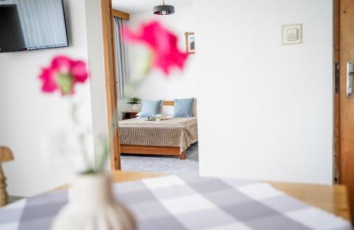 Bialy Dunajec Apartment | Apartament u Chyców