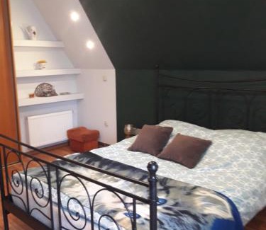 Mieroszow Apartment | Apartament u Dany Las wita Was w otoczeniu gór i dzikiej przyrody
