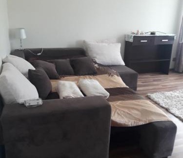 Mieroszow Apartment | Apartament u Dany Las wita Was w otoczeniu gór i dzikiej przyrody