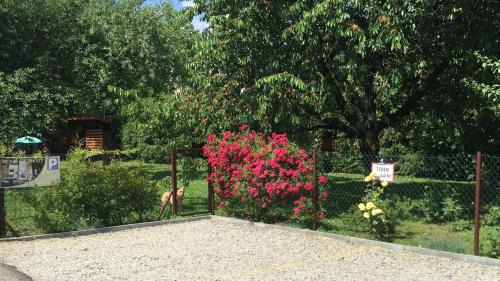 Sanok Apartment | Apartament u Doroty