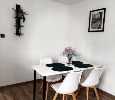 Duszniki Zdroj Apartment | Apartament u Gąbki