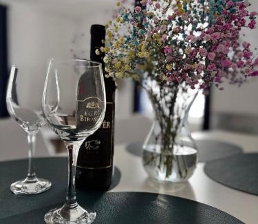 Duszniki Zdroj Apartment | Apartament u Gąbki
