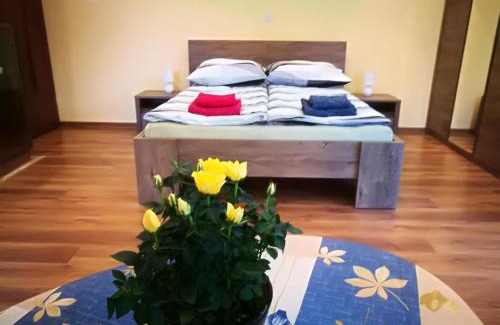 Piwniczna-Zdroj Apartment | Apartament u Joli