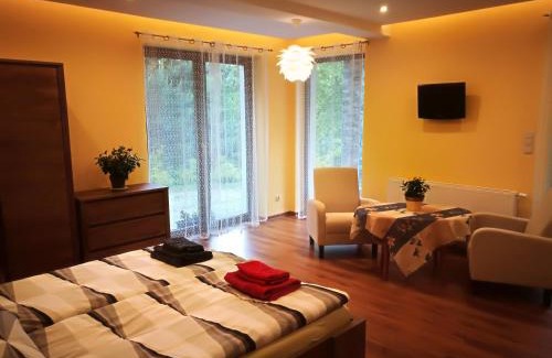 Piwniczna-Zdroj Apartment | Apartament u Joli