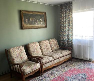 Sighetu Marmatiei Apartment | Apartament ultracentral Botis