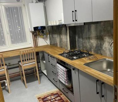 Sighetu Marmatiei Apartment | Apartament ultracentral Botis