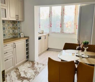 Scheia Apartment | Apartament Victoriei