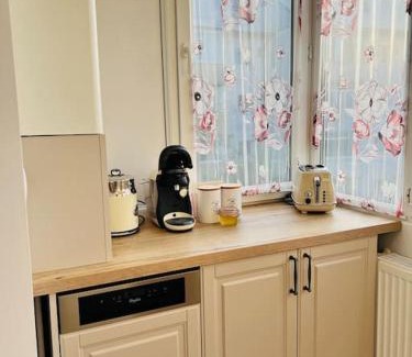 Scheia Apartment | Apartament Victoriei