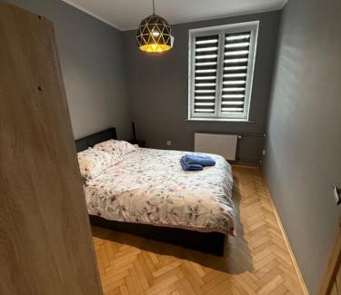 Zory Apartment | Apartament w Centrum Żor