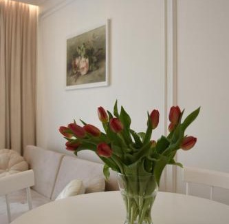 Ciechanow Apartment | Apartament w centrum miasta- Central Park