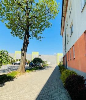 Przemysl Apartment | Apartament w Centrum