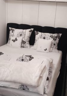 Pszczyna Apartment | Apartament Warowna Pszczyna centrum