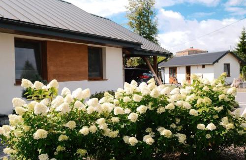 Leszczewek Apartment | apartament Wigry -domek z altaną na wyłączność