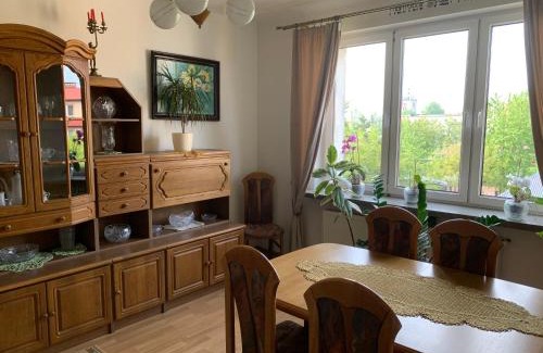 Zamosc Apartment | Apartament z ogrodem Harcerska 4