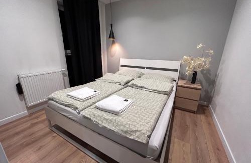 Bedzin Apartment | APARTAMENT ZAMKOWY